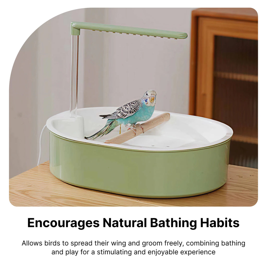 Automatic Bird Shower