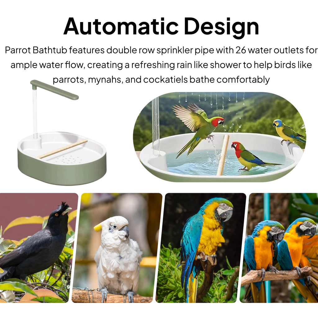 Automatic Bird Shower