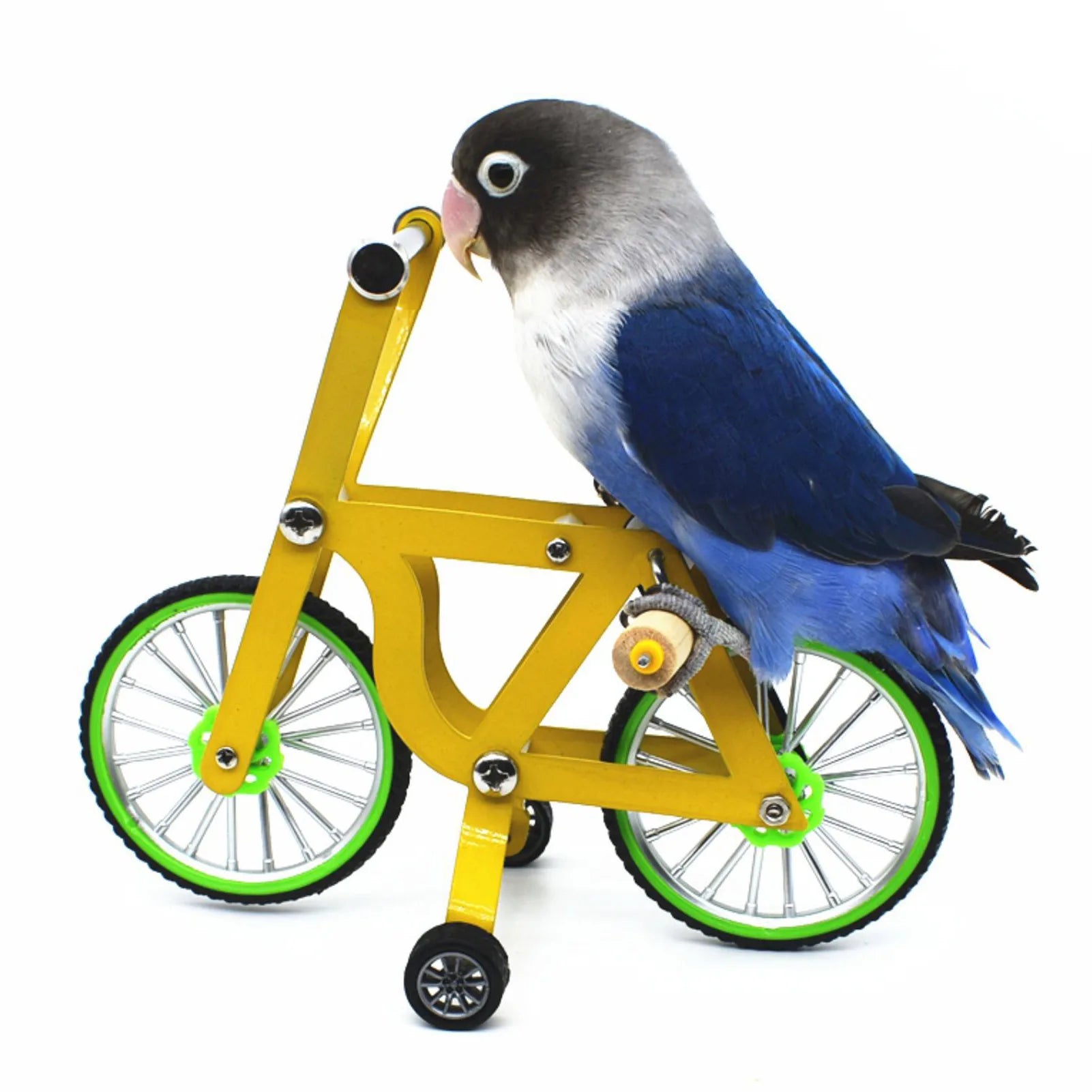 Parrot Bicycle Training Toy