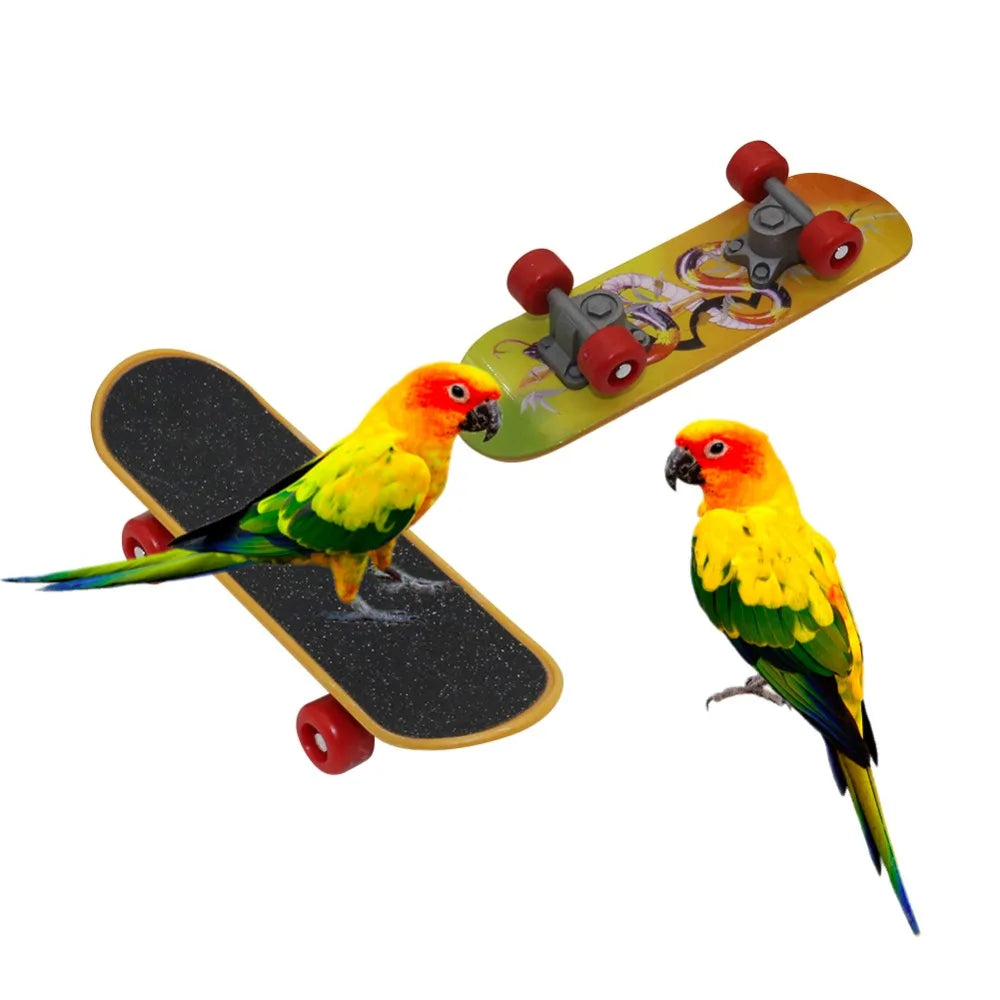 Parrot Skateboard Training Toy