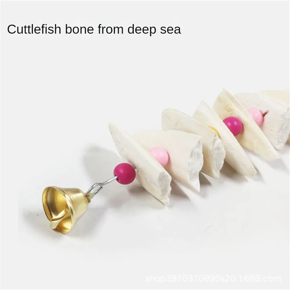 Cuttlefish Bone Skewers