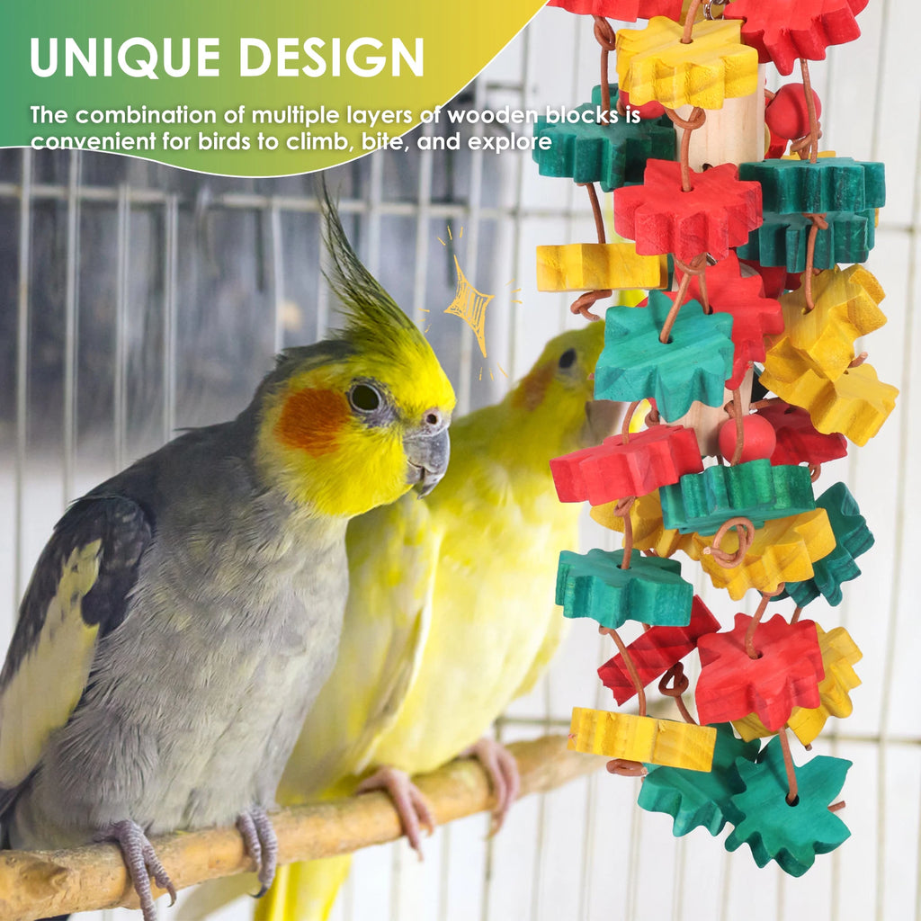 Multicolored Wooden Chew Toy