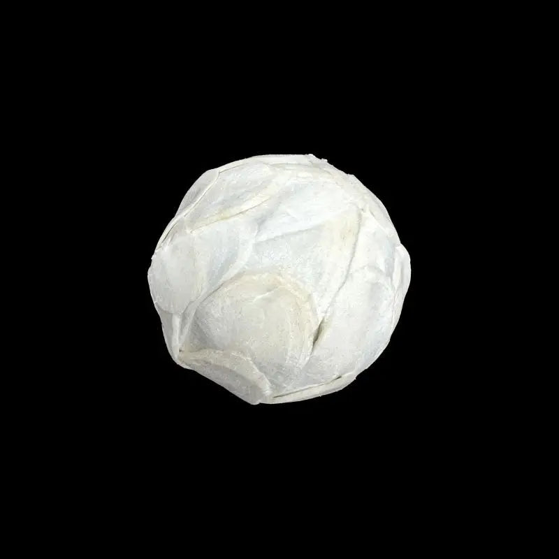 Sola Wood Foraging Ball Set for Parrots