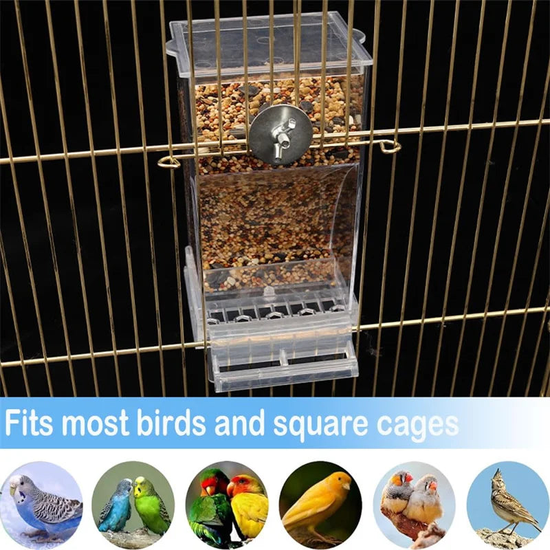 No-Mess Automatic Bird Feeder