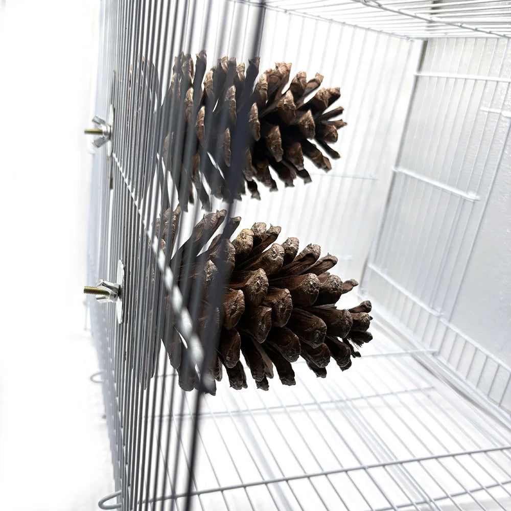 Natural Pinecone Bird Toy