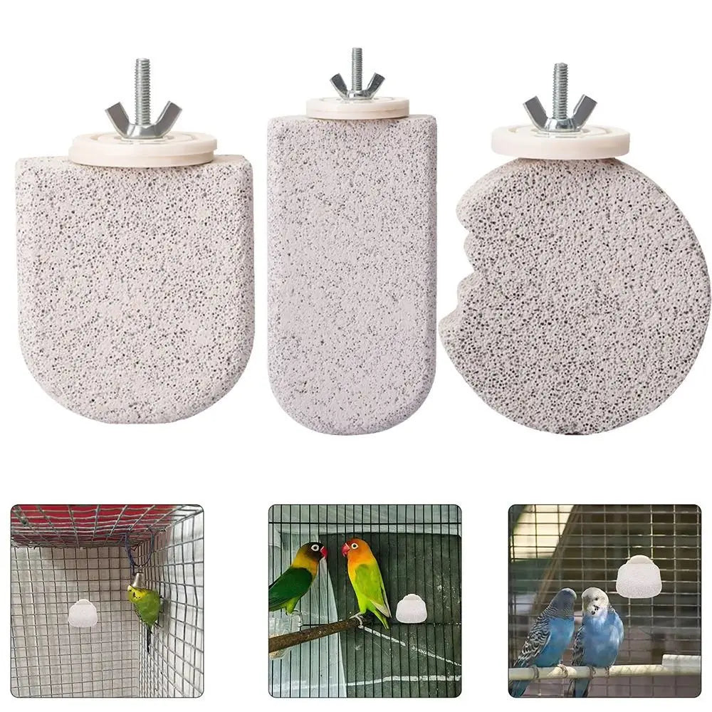 Non-Slip Parrot Standing Pole