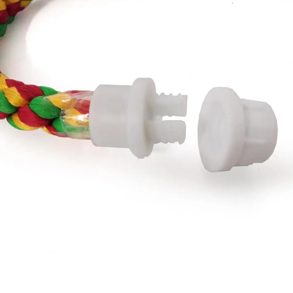 Colorful Rope Ladder Swing