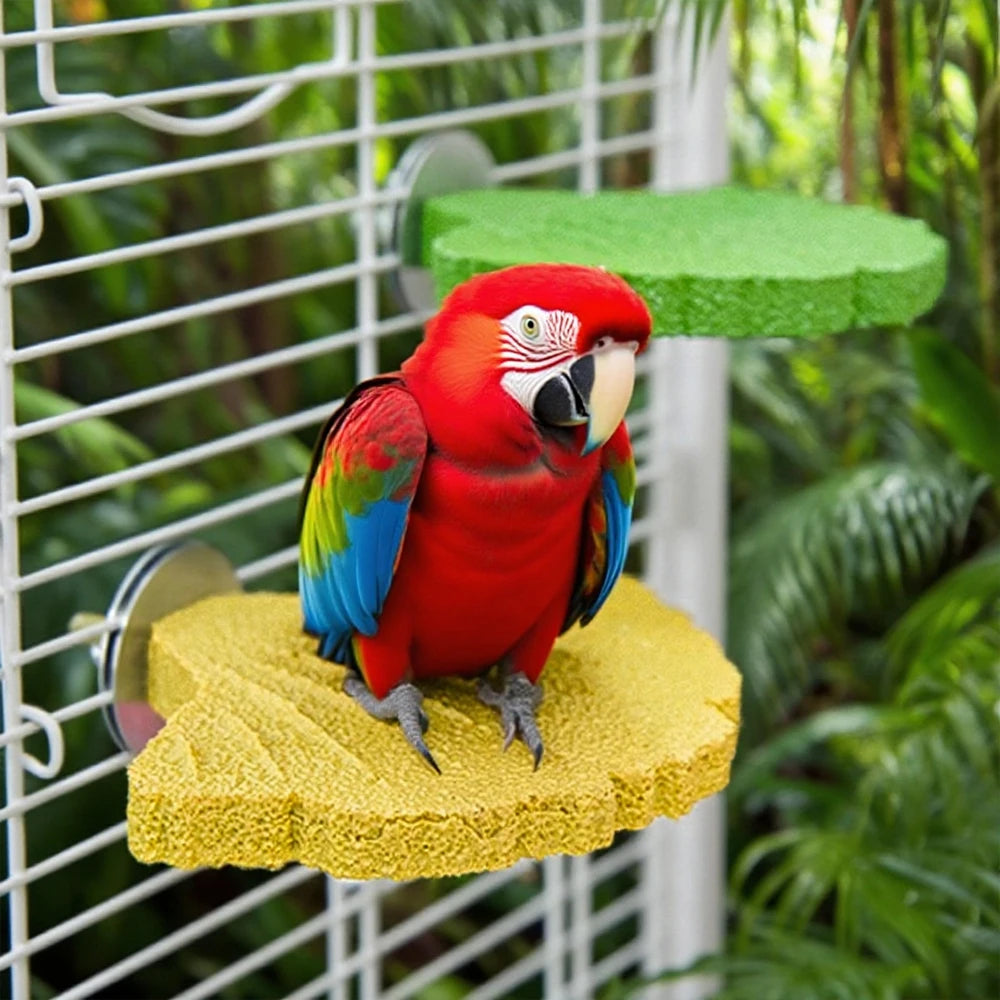 Ginkgo Leaf Parrot Perch