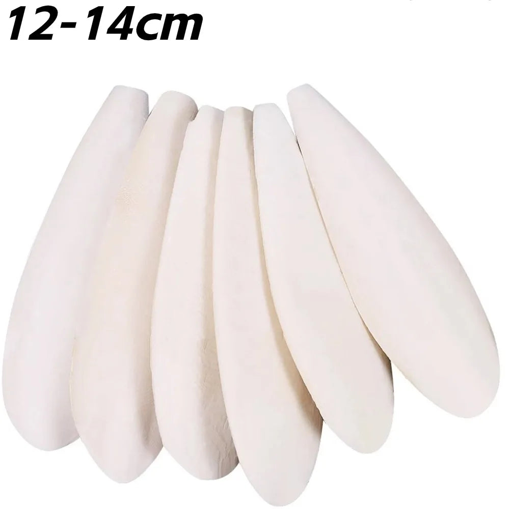 Cuttlefish Bone Calcium Supplement