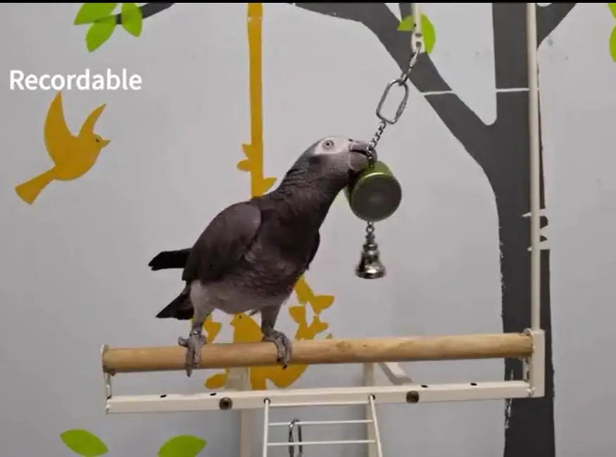 Interactive Talking Parrot Trainer