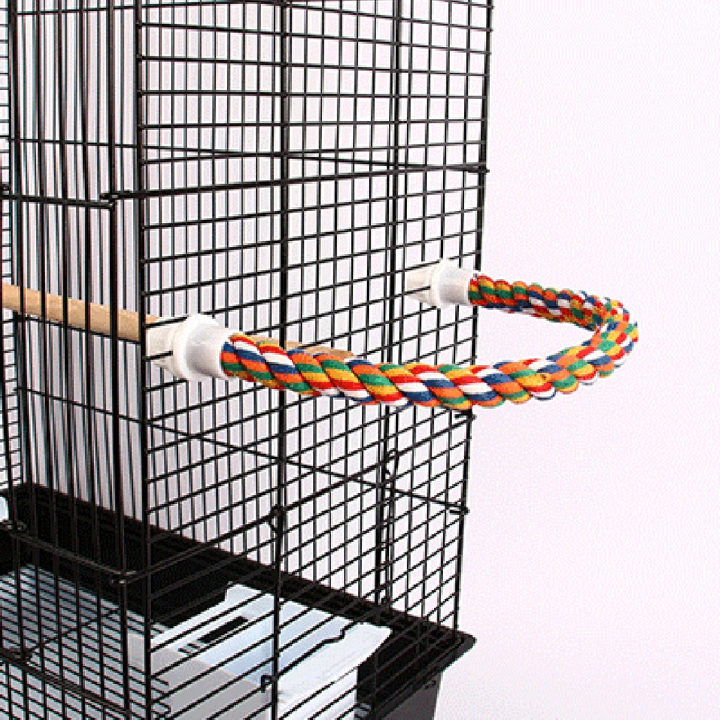 Colorful Rope Ladder Swing