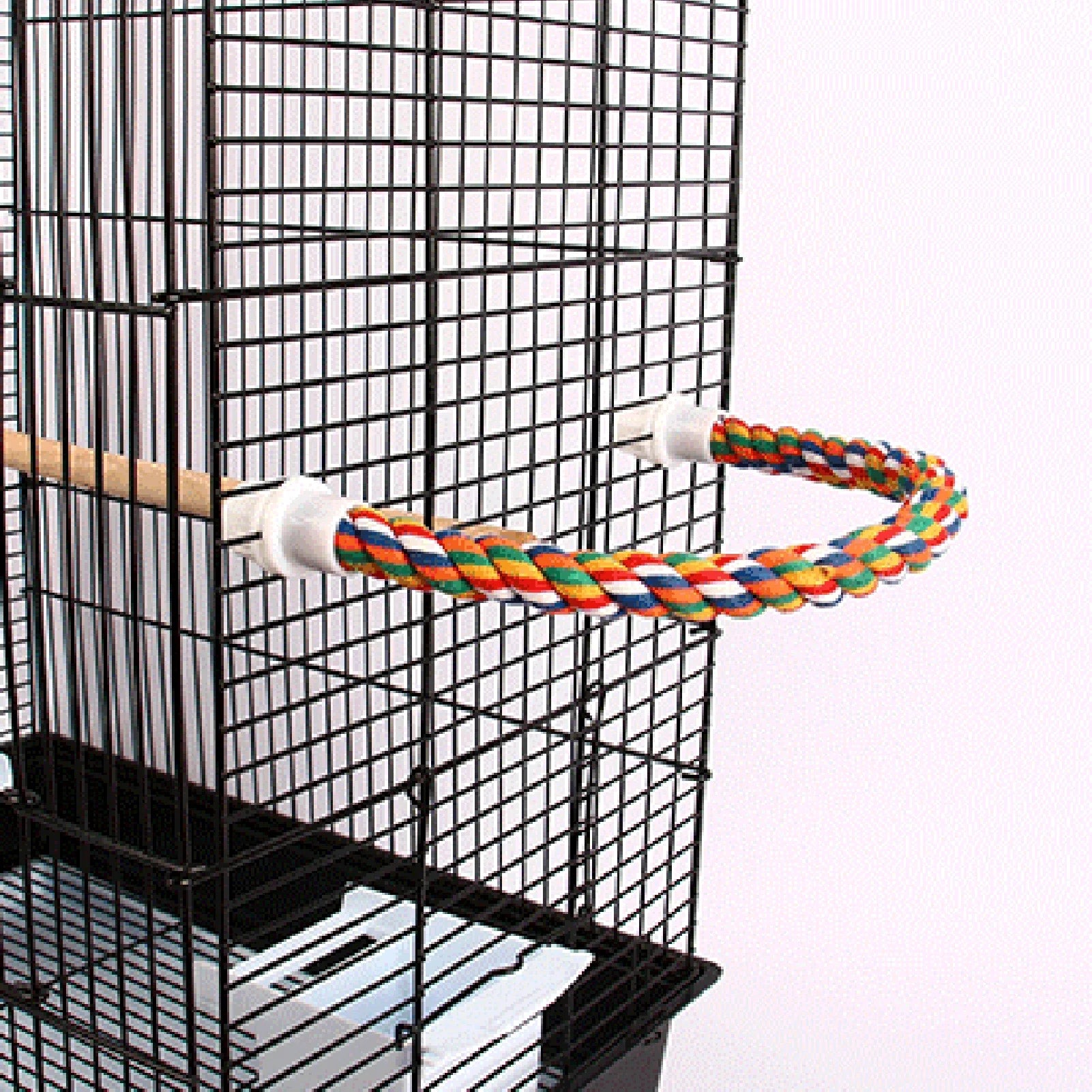 Colorful Rope Ladder Swing