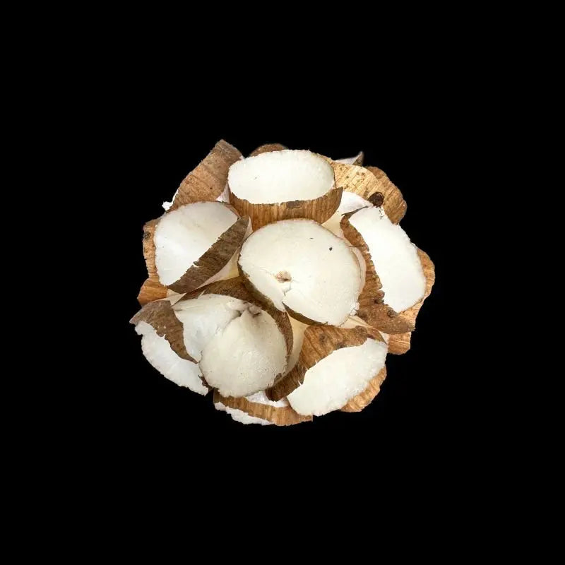 Sola Wood Foraging Ball Set for Parrots