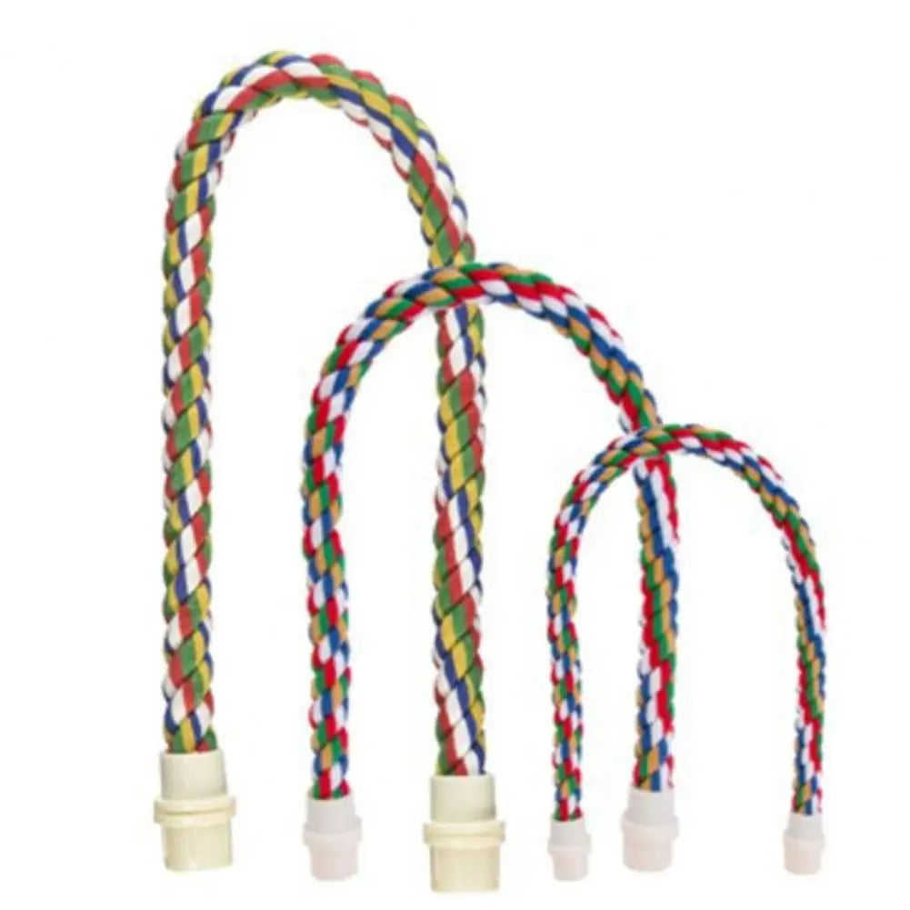 Colorful Rope Ladder Swing