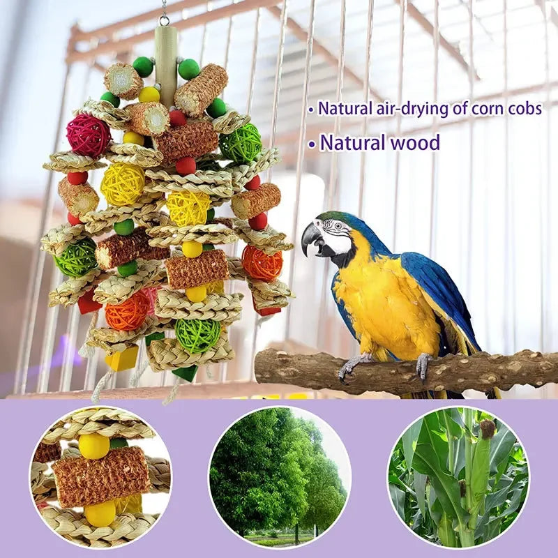 Colorful Hanging Molar Toy