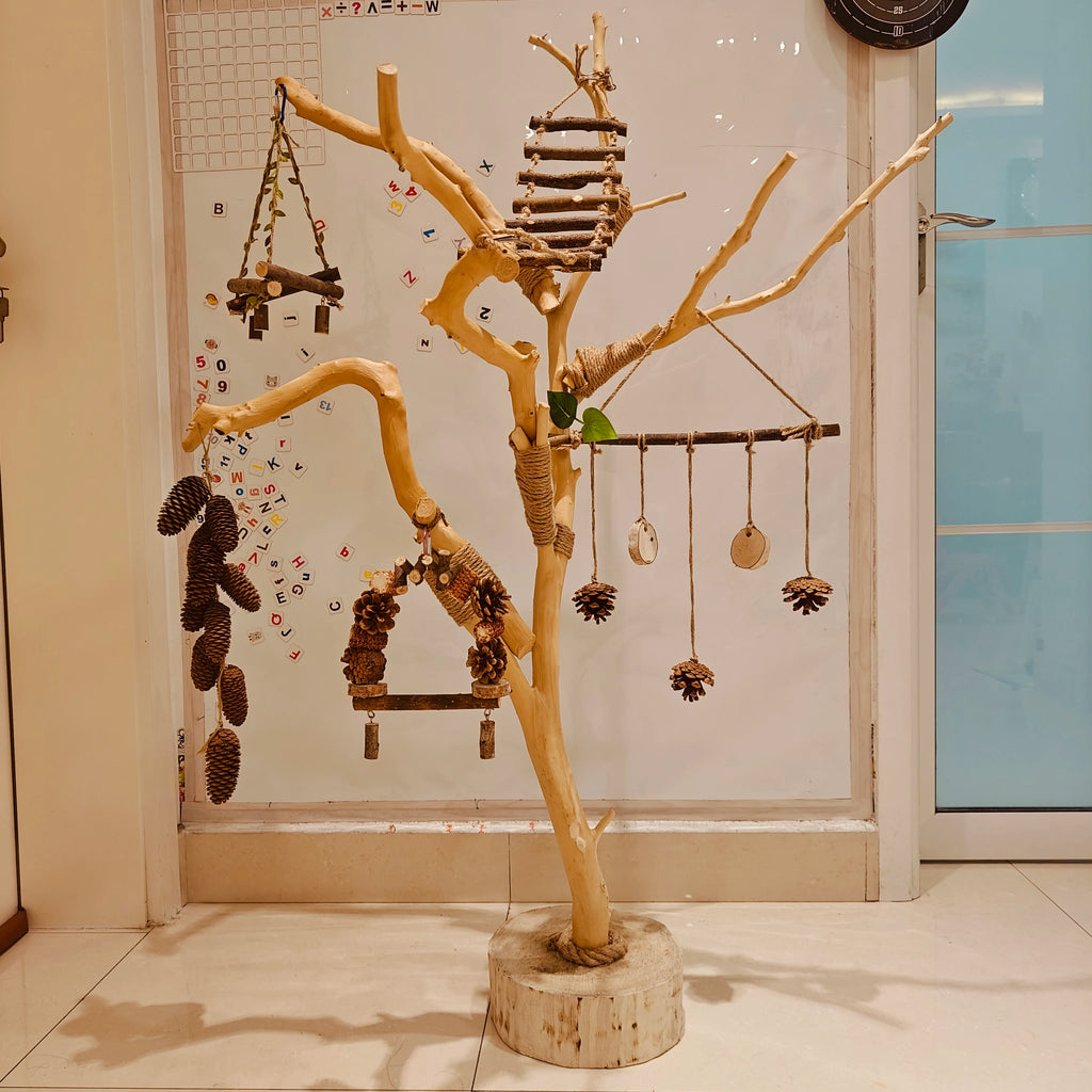 Natural Wood Parrot Stand with Swing - 0.9M