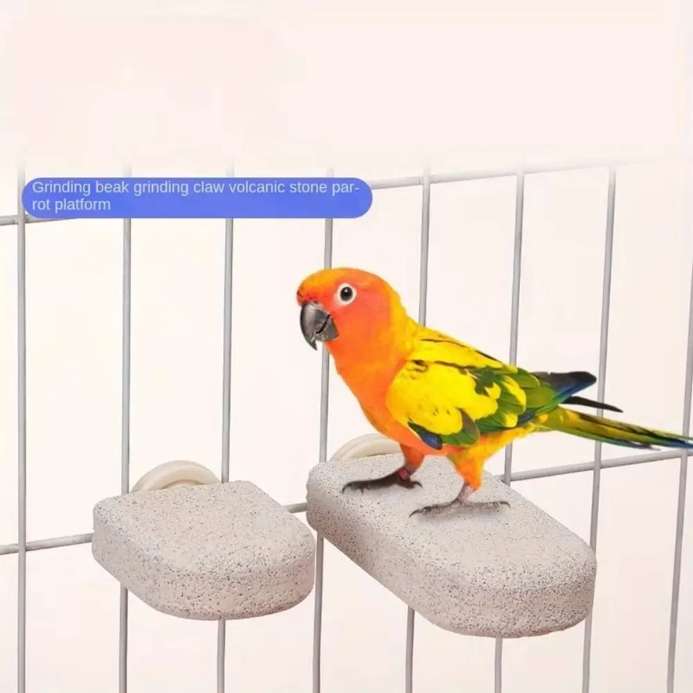 Non-Slip Parrot Standing Pole