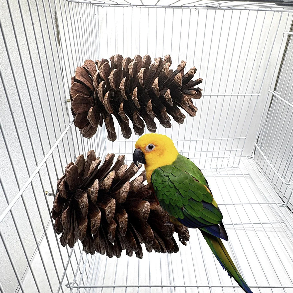 Natural Pinecone Bird Toy