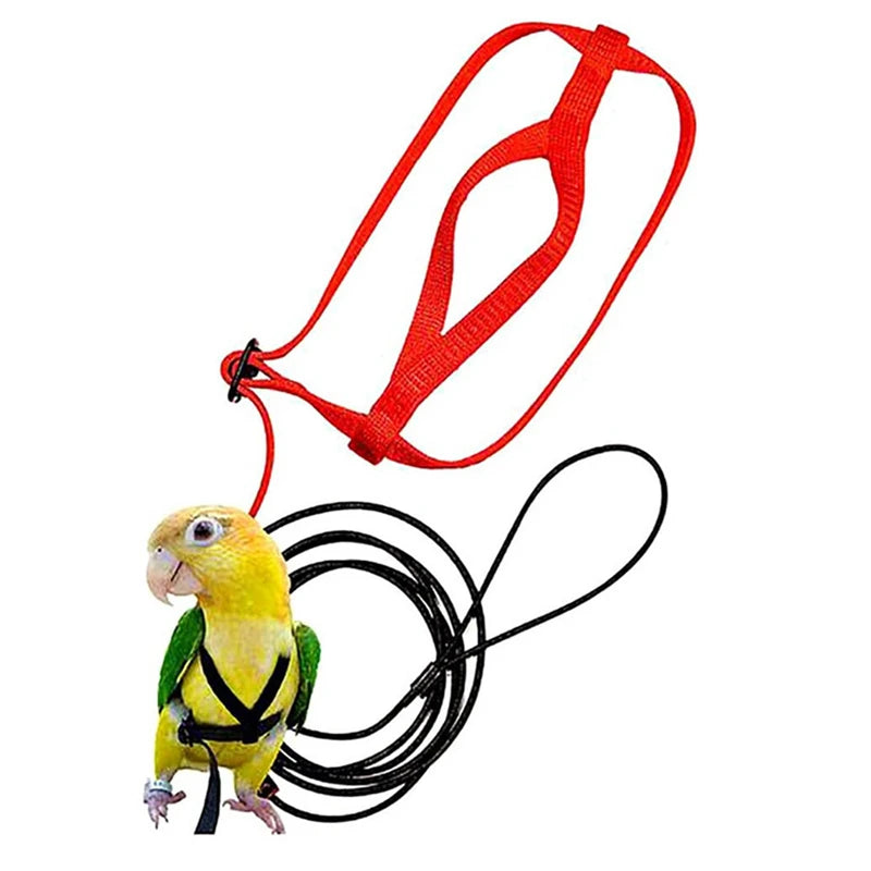 Parrot Harness & Bird Leash with Training Rope
