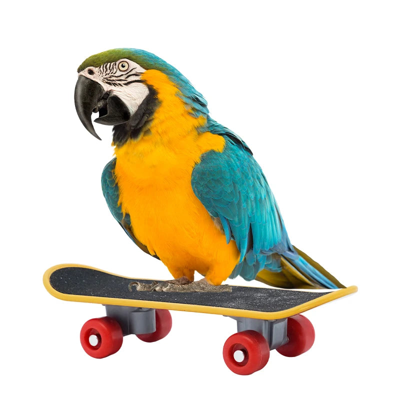 Parrot Mini Skateboard Training Toy