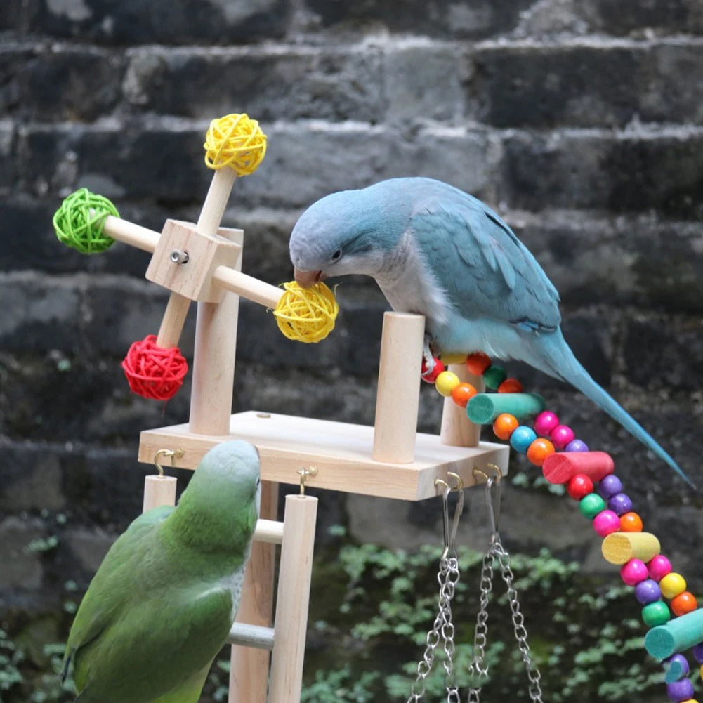 Bird Perch Playground