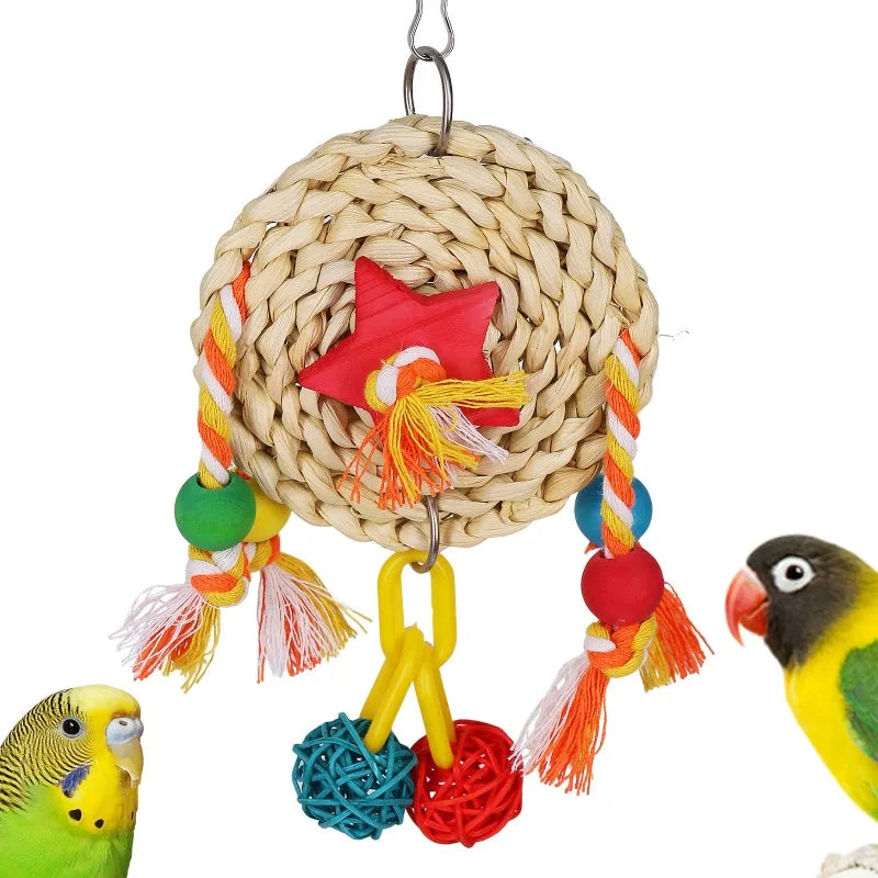 Double Ball Vine Chew Toy