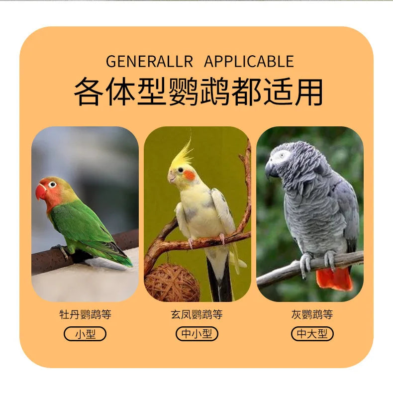 Large Acrylic Parrot Cage