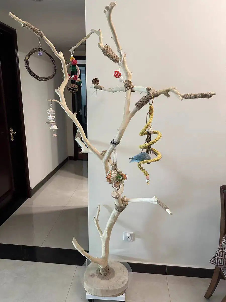 Bird Stand Tree Branch - Solid Wood Perch