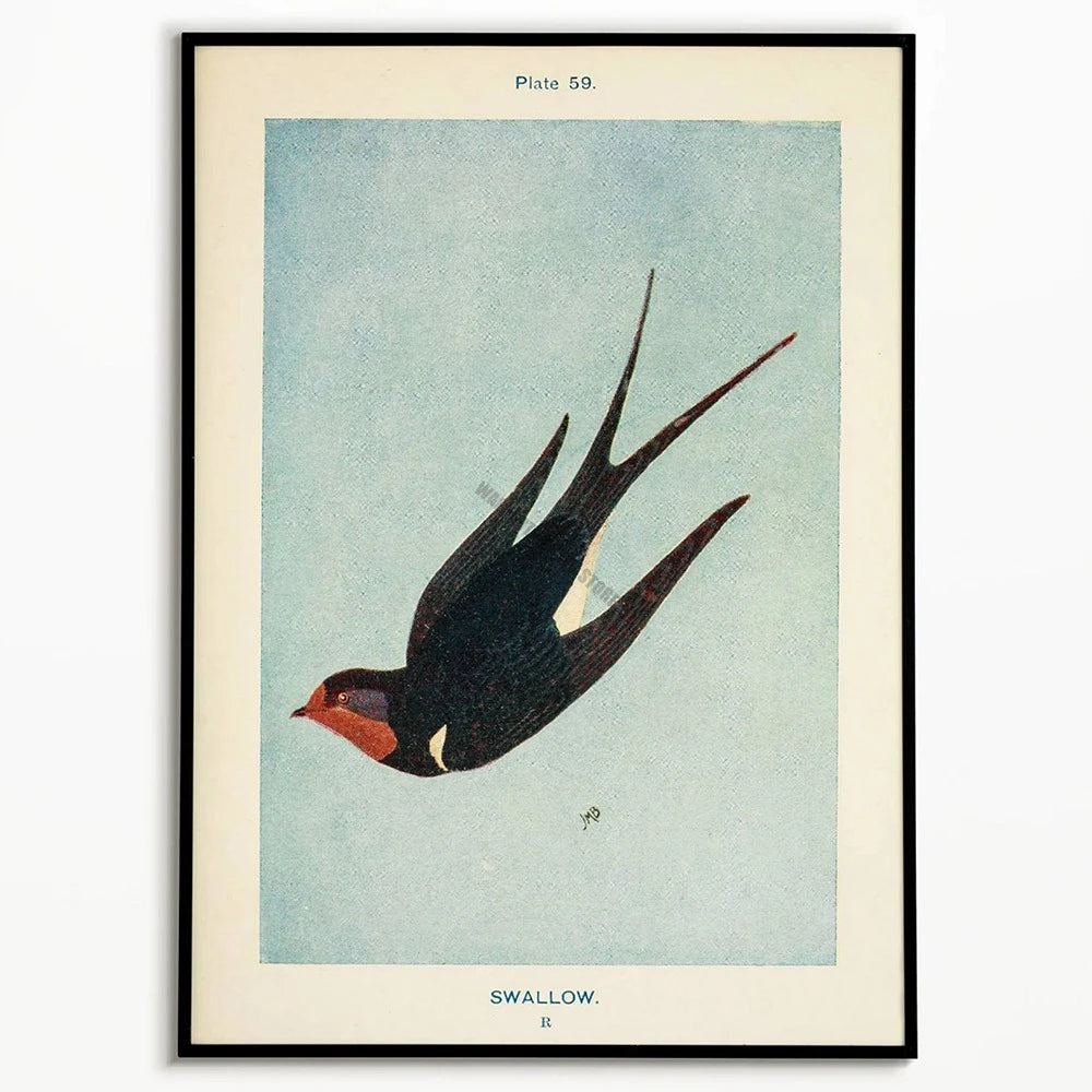 Vintage Bird Art Print - Canvas Poster