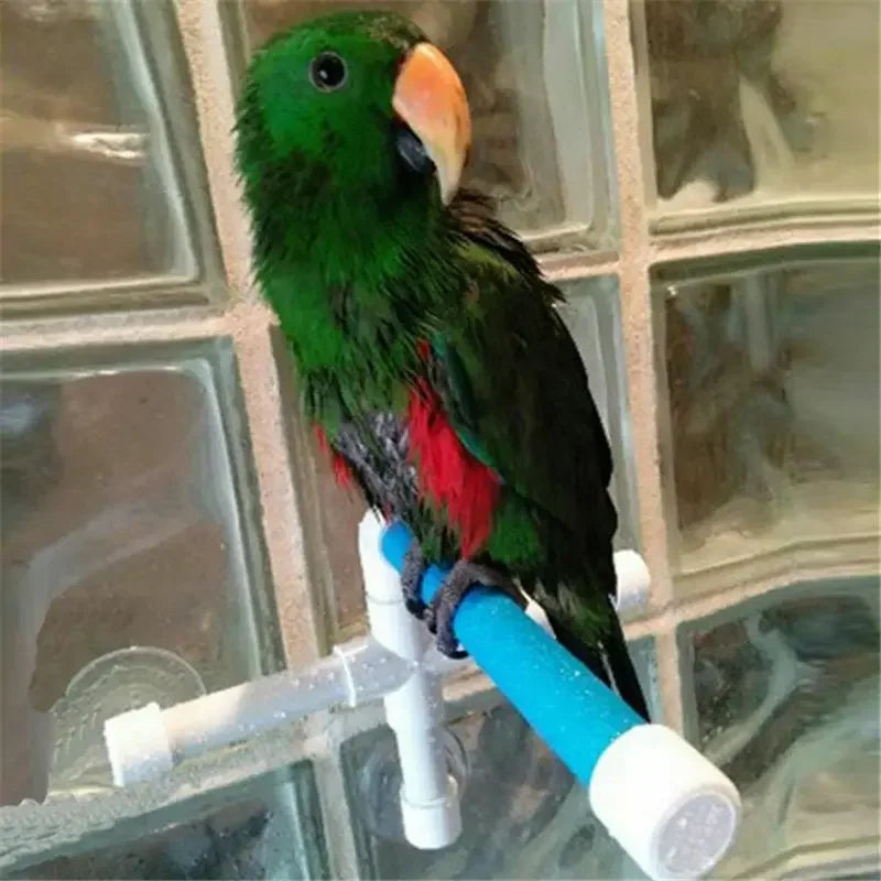 Parrot Bathing Shower Stand
