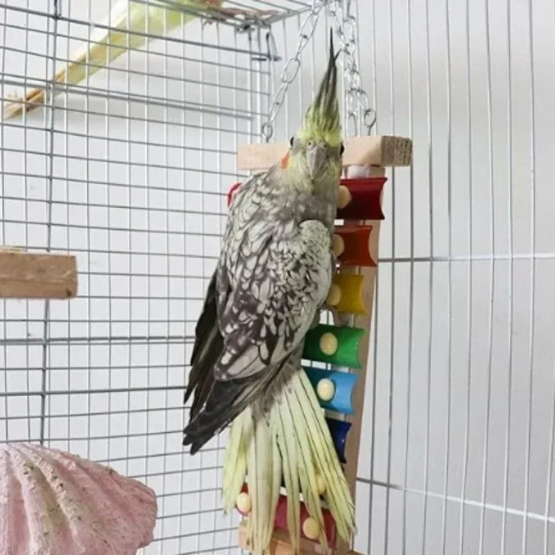 Colorful Bird Xylophone Toy for Parrots