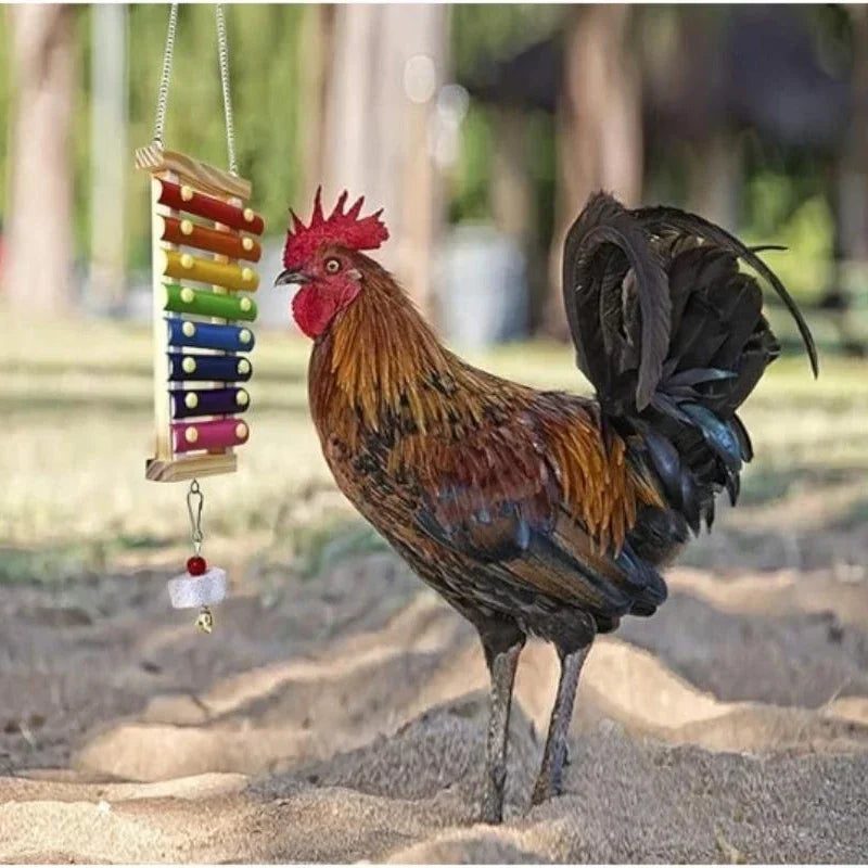 Colorful Bird Xylophone Toy for Parrots