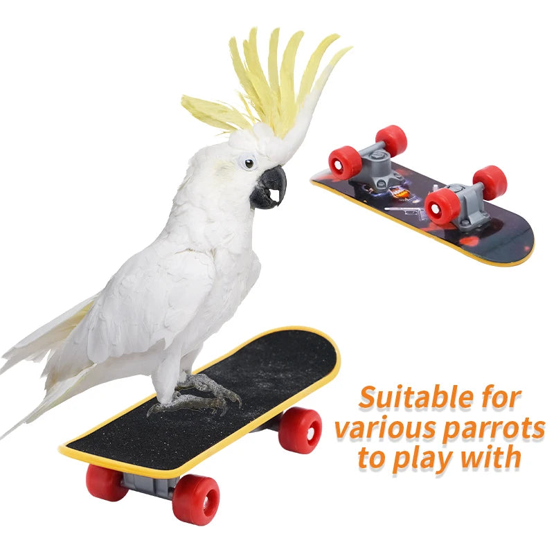 Parrot Mini Skateboard Training Toy