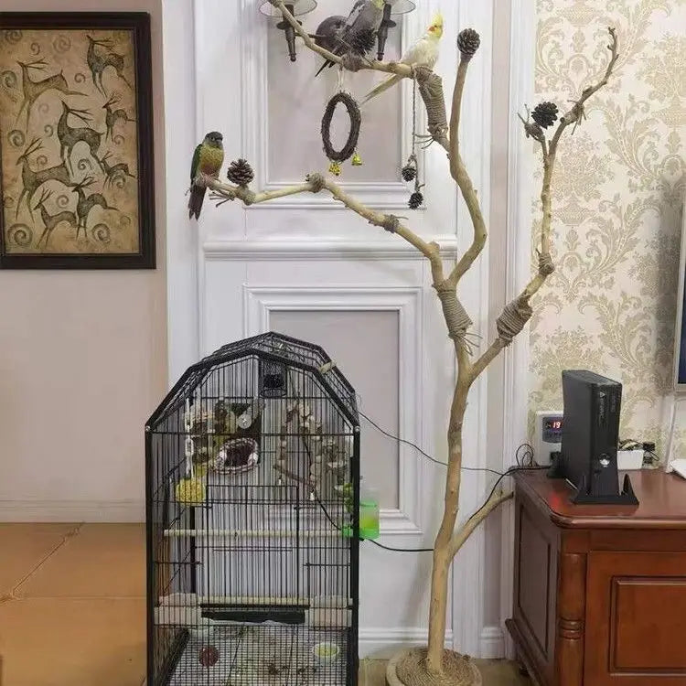 Wooden Parrot Branch Stand - Floor Mounted