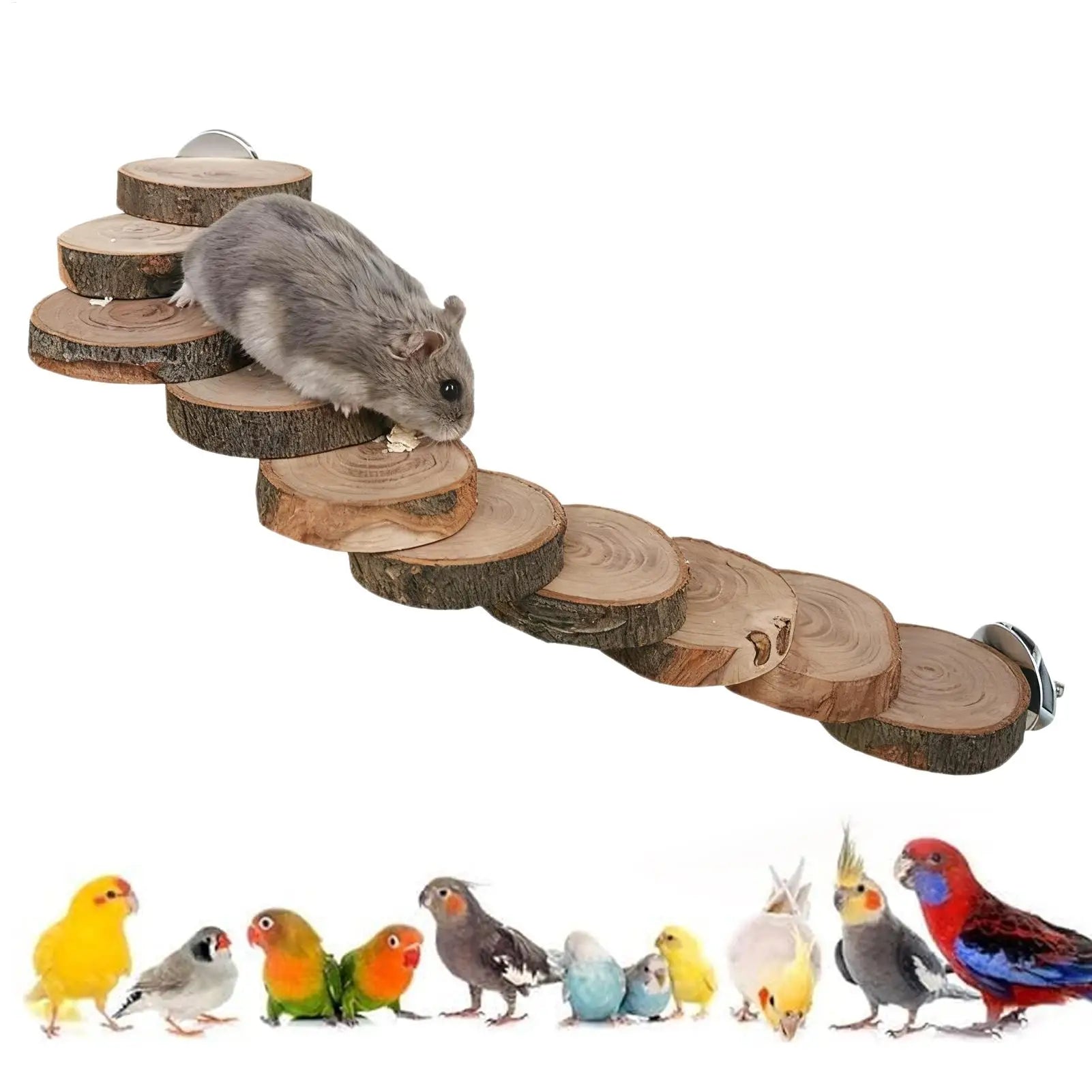 Wooden Climbing Staircase