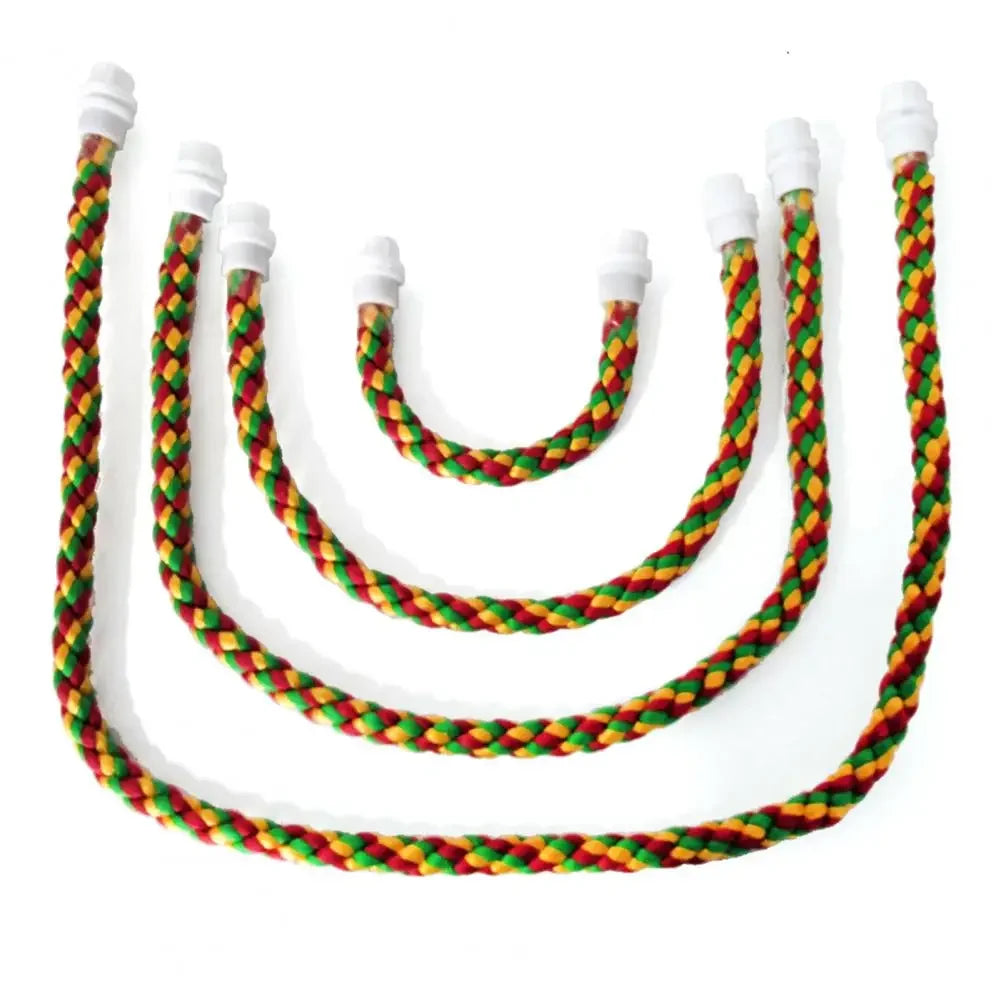 Colorful Rope Ladder Swing