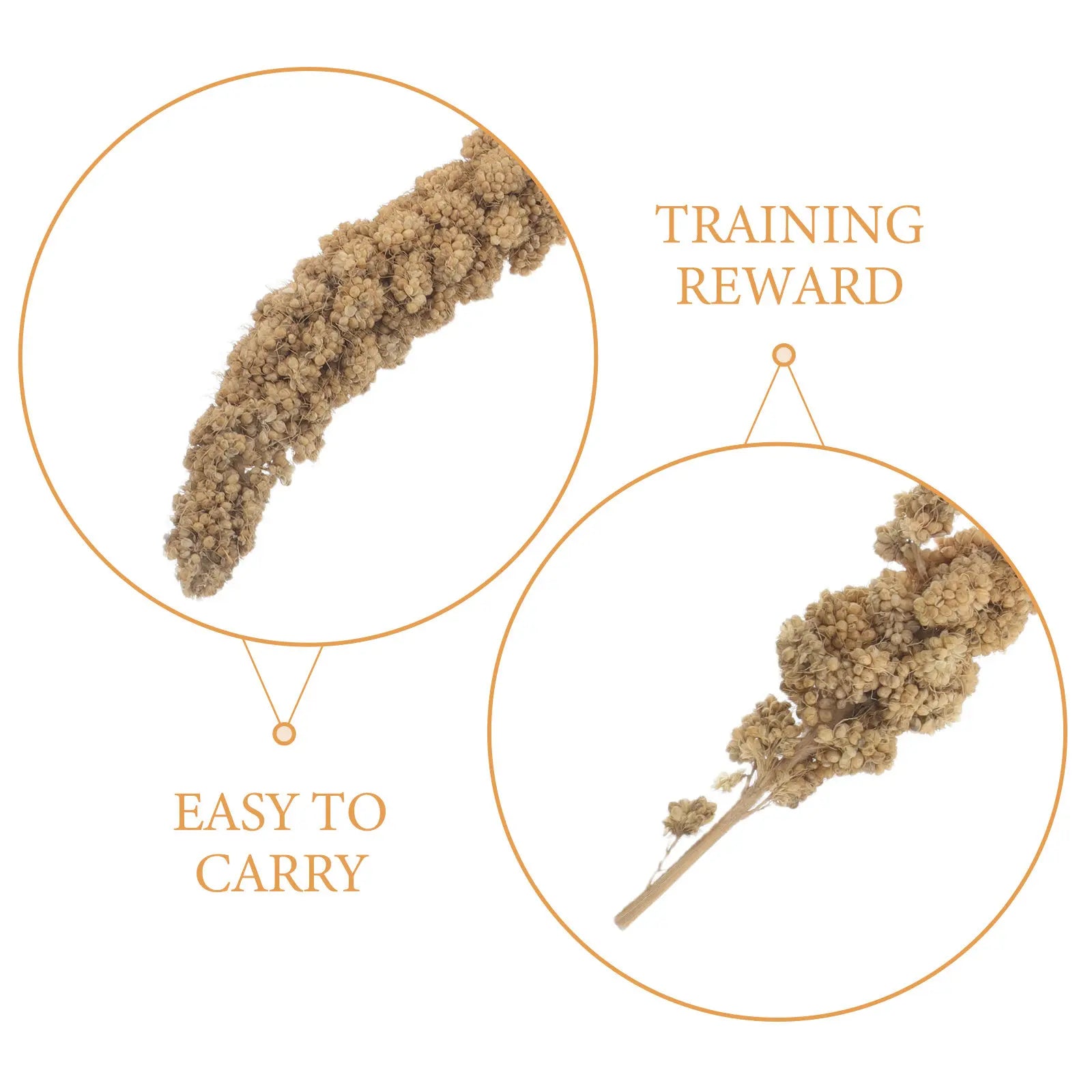 Natural Dried Millet Treat