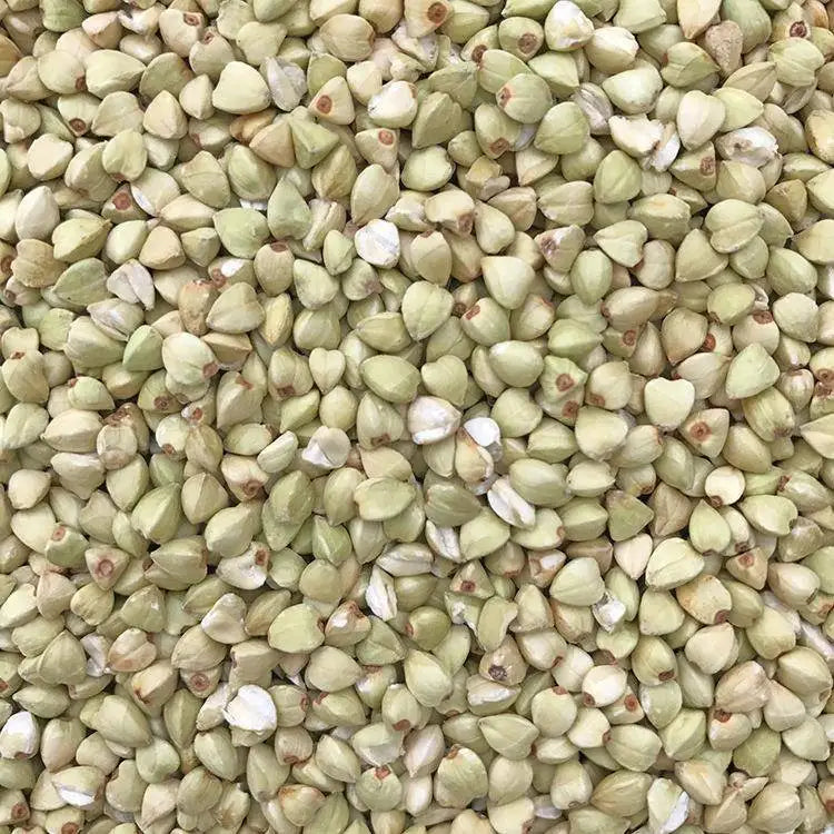 Premium Parrot Bird Seed