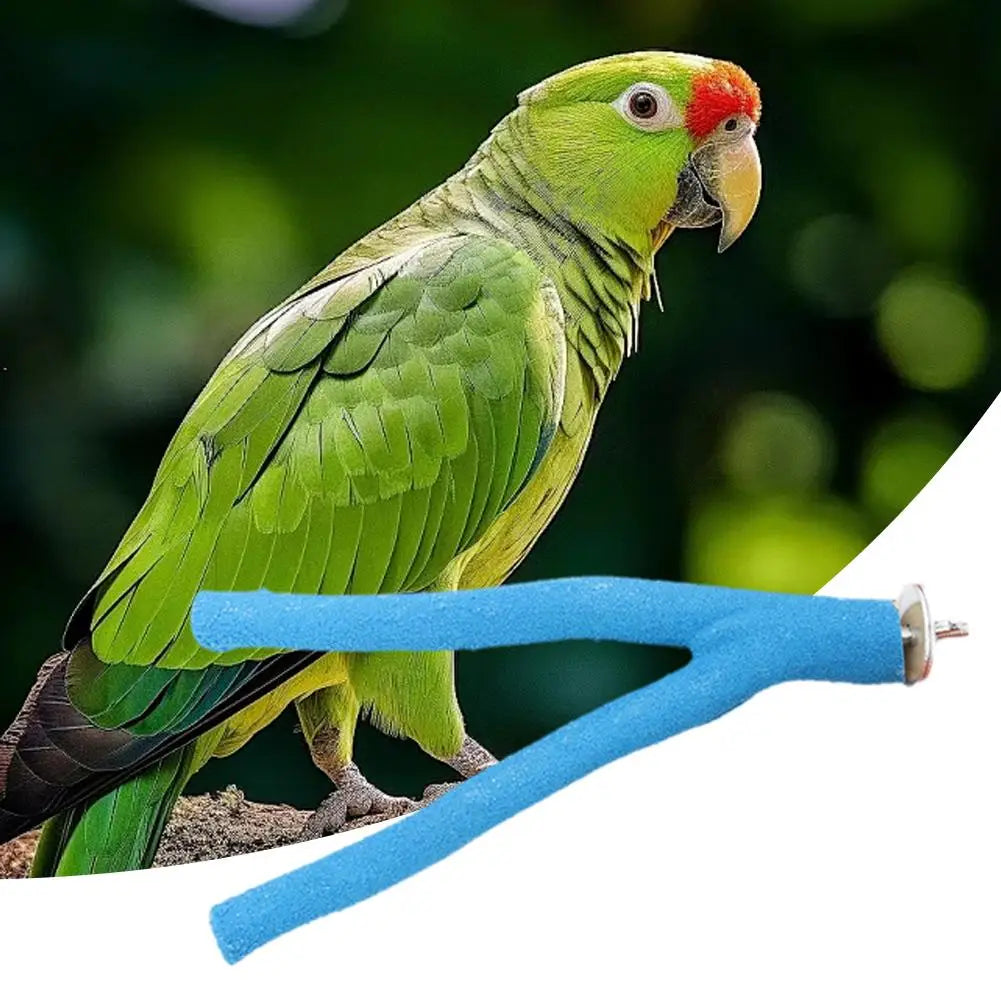 Pumice Bird Perch for Nail & Beak Trimming