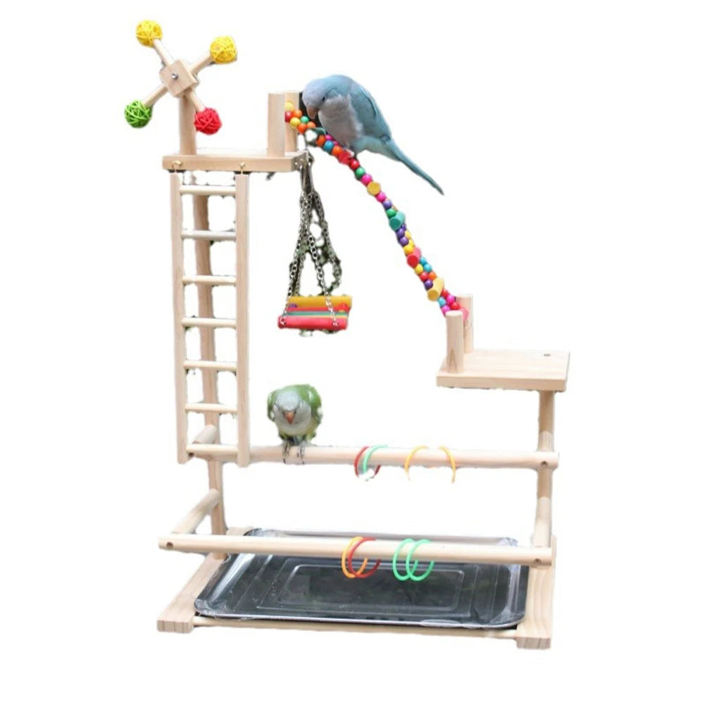 Bird Perch Playground