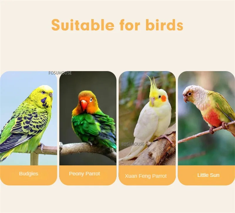 Luxury Starling Breeding Cage