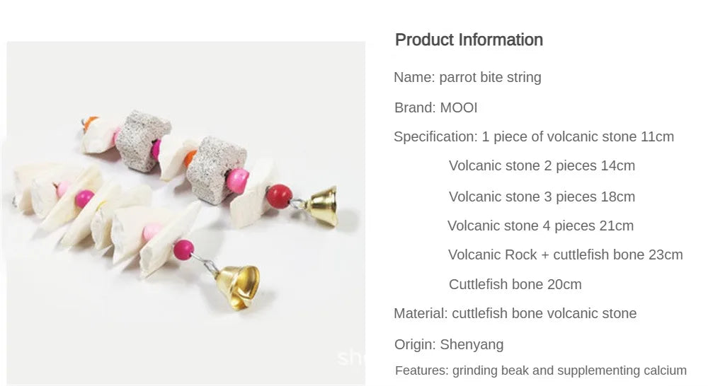 Cuttlefish Bone Skewers