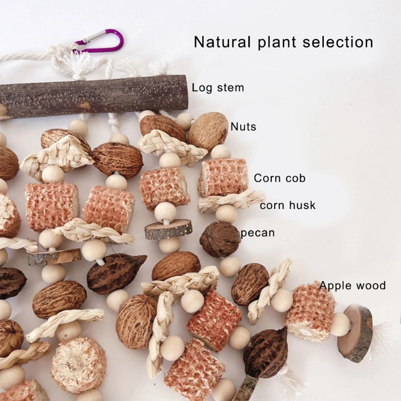 Parrot Puzzle Chew Toy