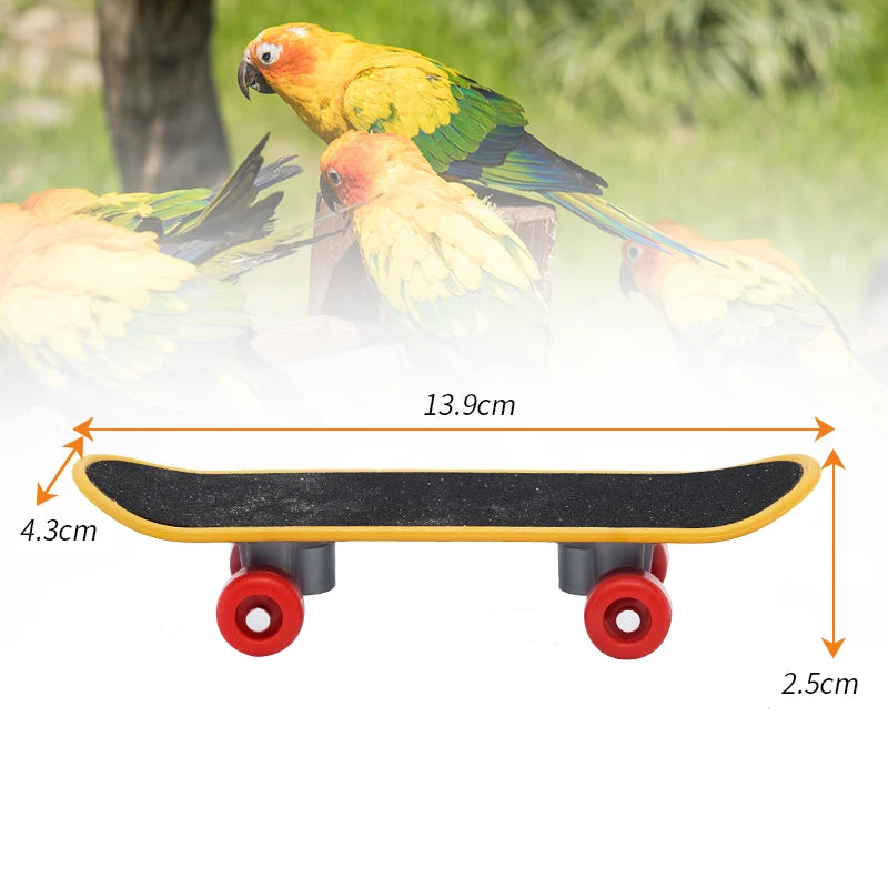 Parrot Mini Skateboard Training Toy
