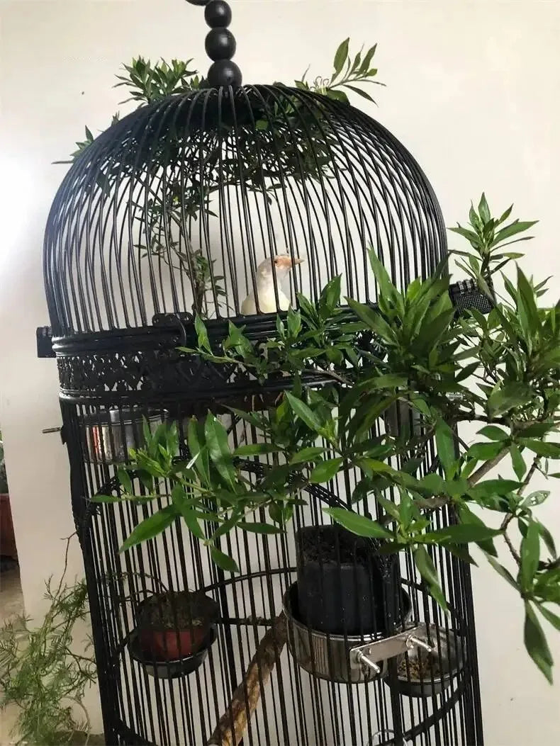 Extra Large Cylindrical Bird Cage - European Style