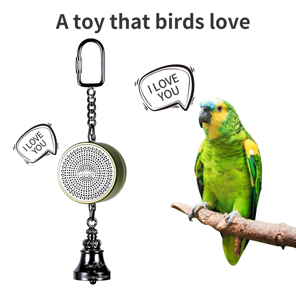 Interactive Talking Parrot Trainer