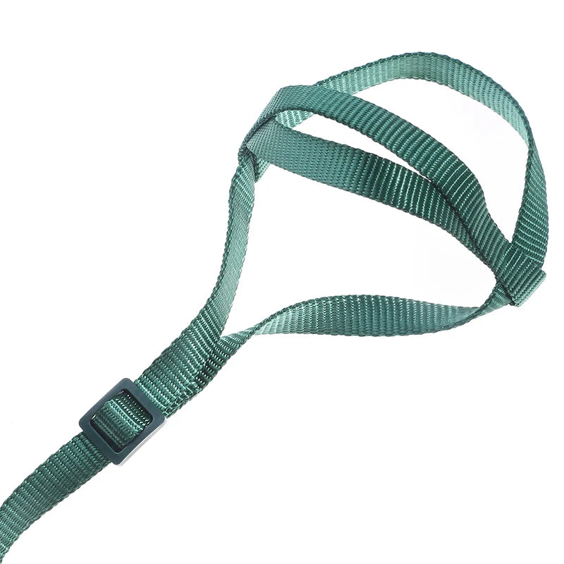 Parrot Harness & Bird Leash with Training Rope