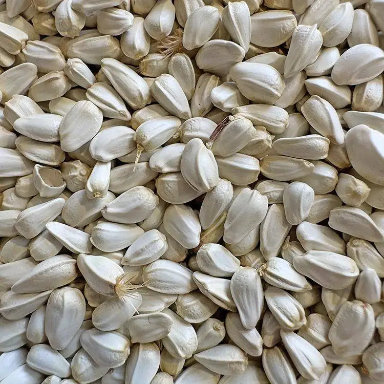 Premium Parrot Bird Seed