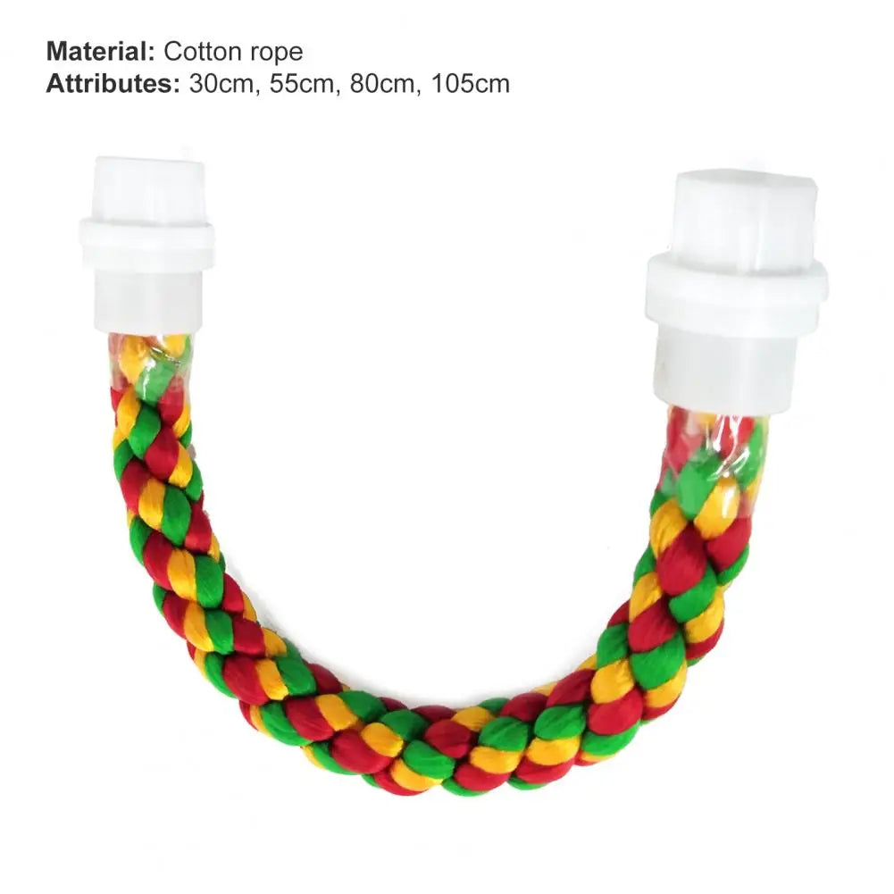 Colorful Rope Ladder Swing
