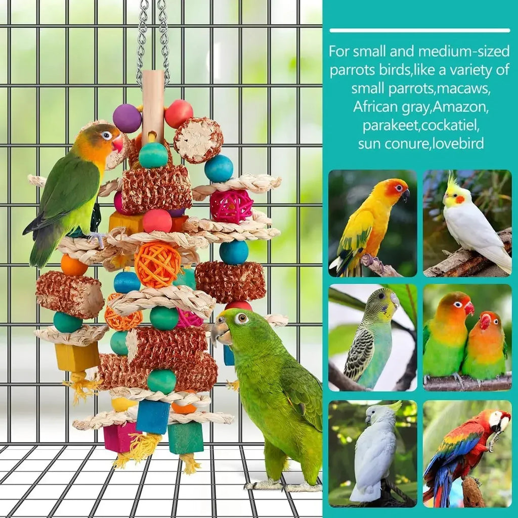 Colorful Hanging Molar Toy